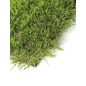 Naturamente Gazon Synthétique 50MM Larg. 2M Long. 10M Rouleau de 20M²