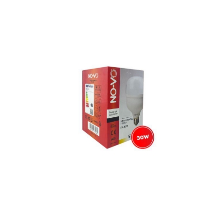 Ampoule Torche 30W Manuel E27 6500K Blanc Froid T30