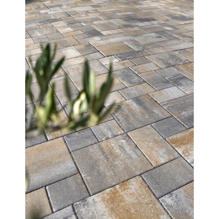 La Tierra® Sauvage Calcaire Coquillier Nuancé Pavé Béton Multi-formats Ep. 6CM  0,81m²