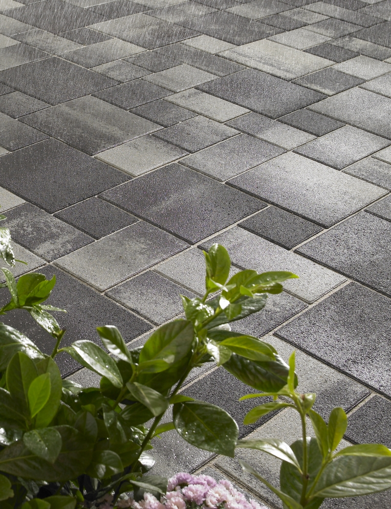 La Tierra® Sauvage Gris Anthracite Nuancé Pavé Béton Multi-formats Ep. 8CM  0,81m²