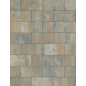 La Tierra® Dalle Béton Calcaire Coquille Nuancé Format 30/60CM Ep. 5CM  0,72m²