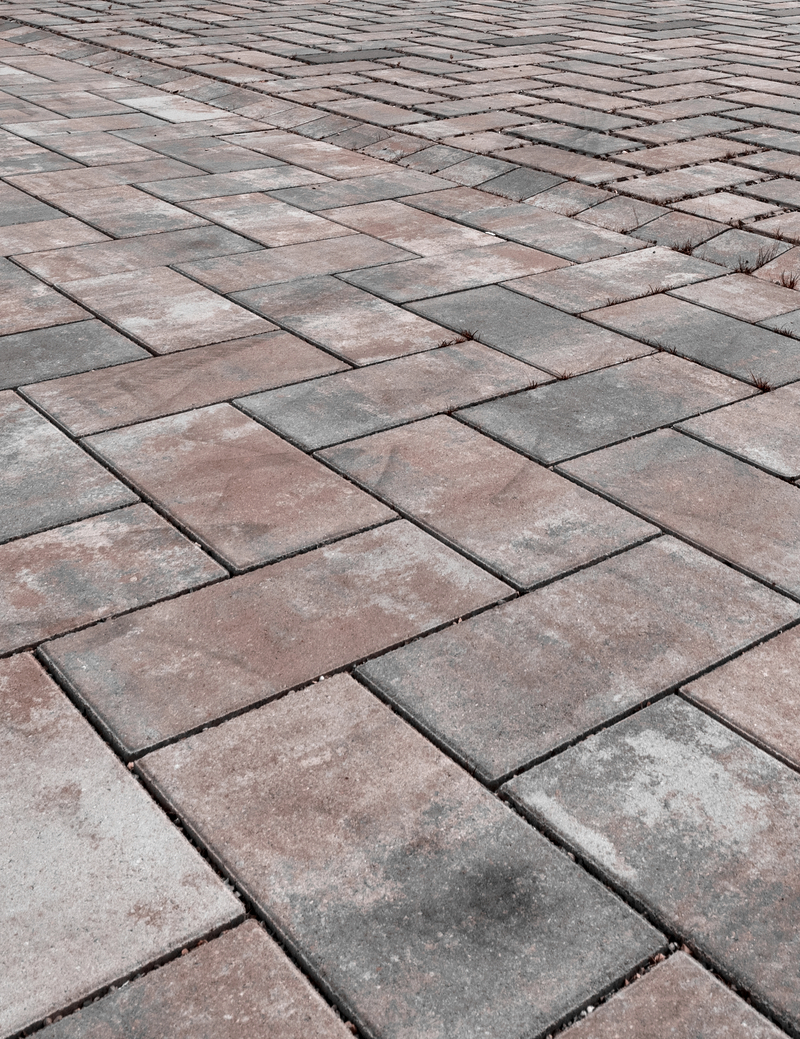 Assos Rust Line Pavé Béton Nuancé Format 40/20CM Ep. 6CM  0,96m²