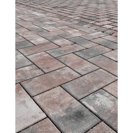 Assos Rust Line Pavé Béton Nuancé Format 40/20CM Ep. 6CM  0,96m²